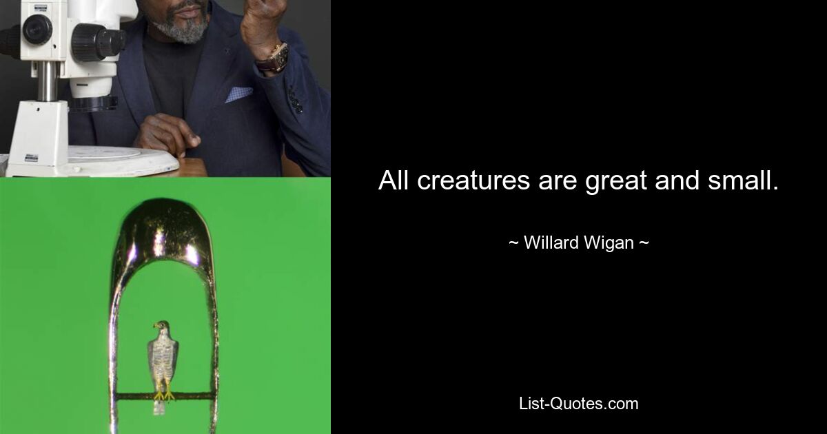 All creatures are great and small. — © Willard Wigan