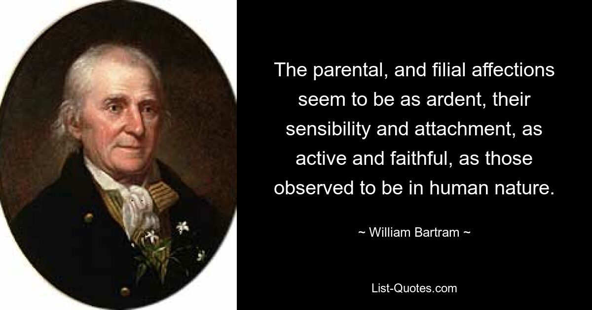 The parental, and filial affections seem to be as ardent, their sensibility and attachment, as active and faithful, as those observed to be in human nature. — © William Bartram