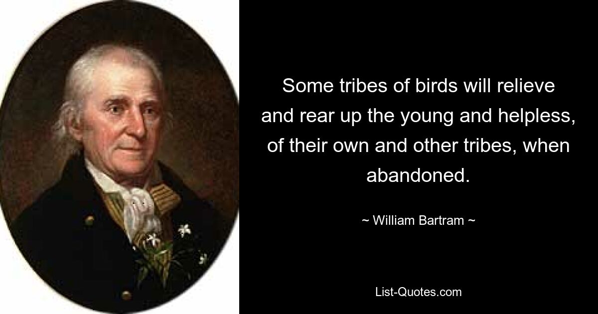 Some tribes of birds will relieve and rear up the young and helpless, of their own and other tribes, when abandoned. — © William Bartram