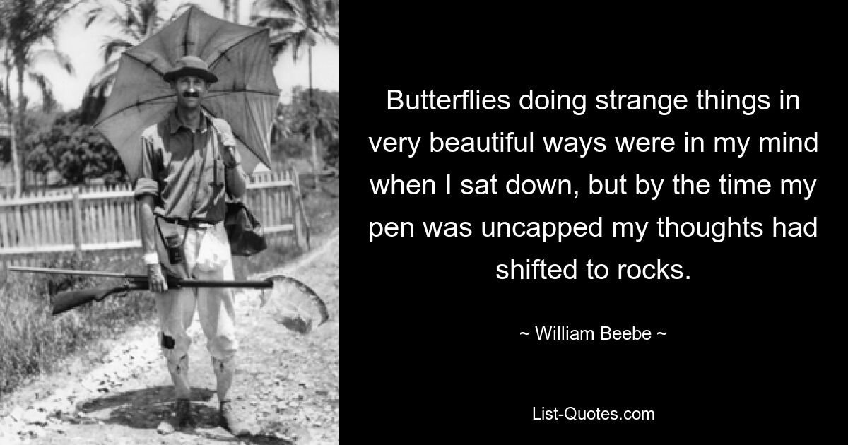 Butterflies doing strange things in very beautiful ways were in my mind when I sat down, but by the time my pen was uncapped my thoughts had shifted to rocks. — © William Beebe