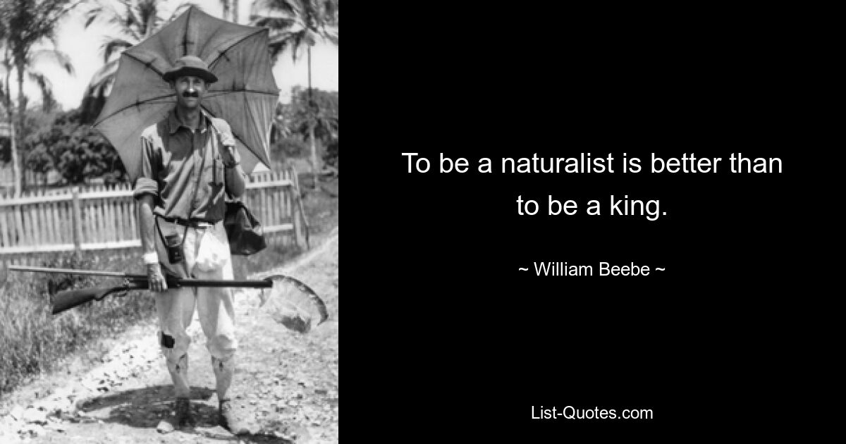 To be a naturalist is better than to be a king. — © William Beebe