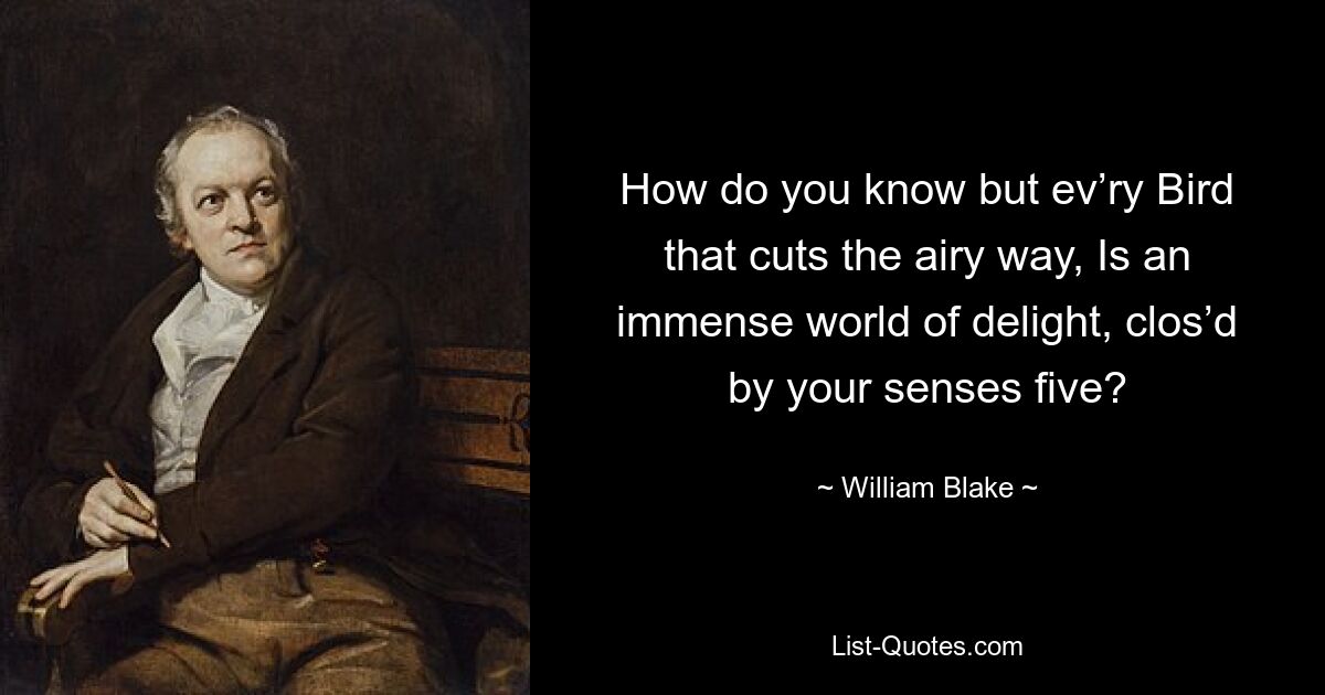 How do you know but ev’ry Bird that cuts the airy way, Is an immense world of delight, clos’d by your senses five? — © William Blake