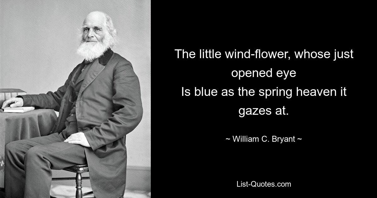 The little wind-flower, whose just opened eye
Is blue as the spring heaven it gazes at. — © William C. Bryant