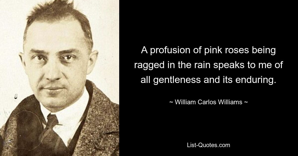 A profusion of pink roses being ragged in the rain speaks to me of all gentleness and its enduring. — © William Carlos Williams