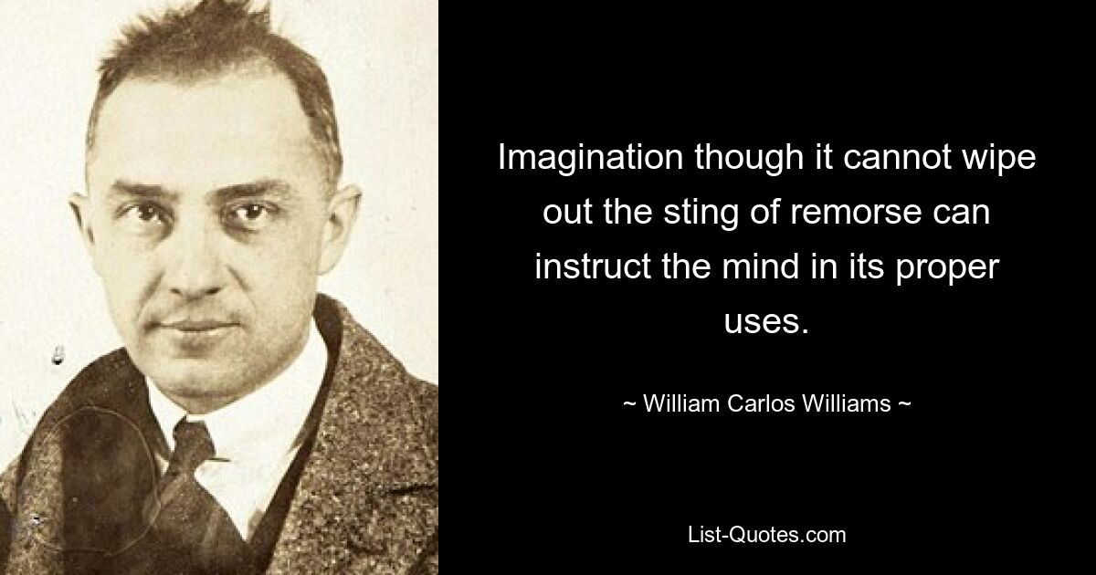 Imagination though it cannot wipe out the sting of remorse can instruct the mind in its proper uses. — © William Carlos Williams