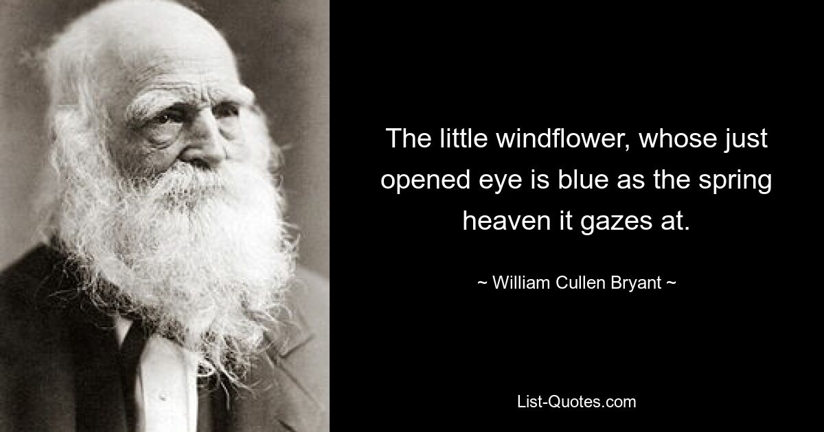 The little windflower, whose just opened eye is blue as the spring heaven it gazes at. — © William Cullen Bryant