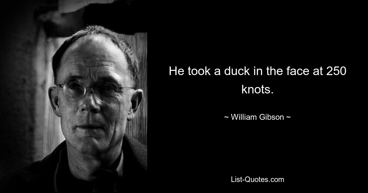 He took a duck in the face at 250 knots. — © William Gibson