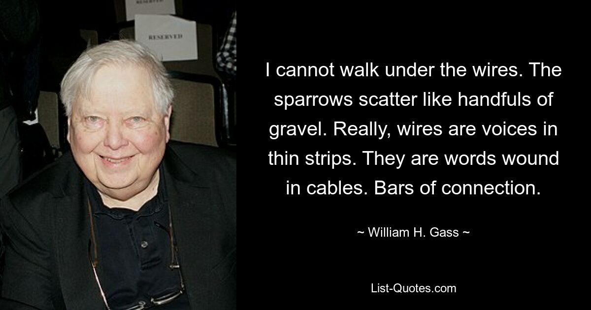 I cannot walk under the wires. The sparrows scatter like handfuls of gravel. Really, wires are voices in thin strips. They are words wound in cables. Bars of connection. — © William H. Gass