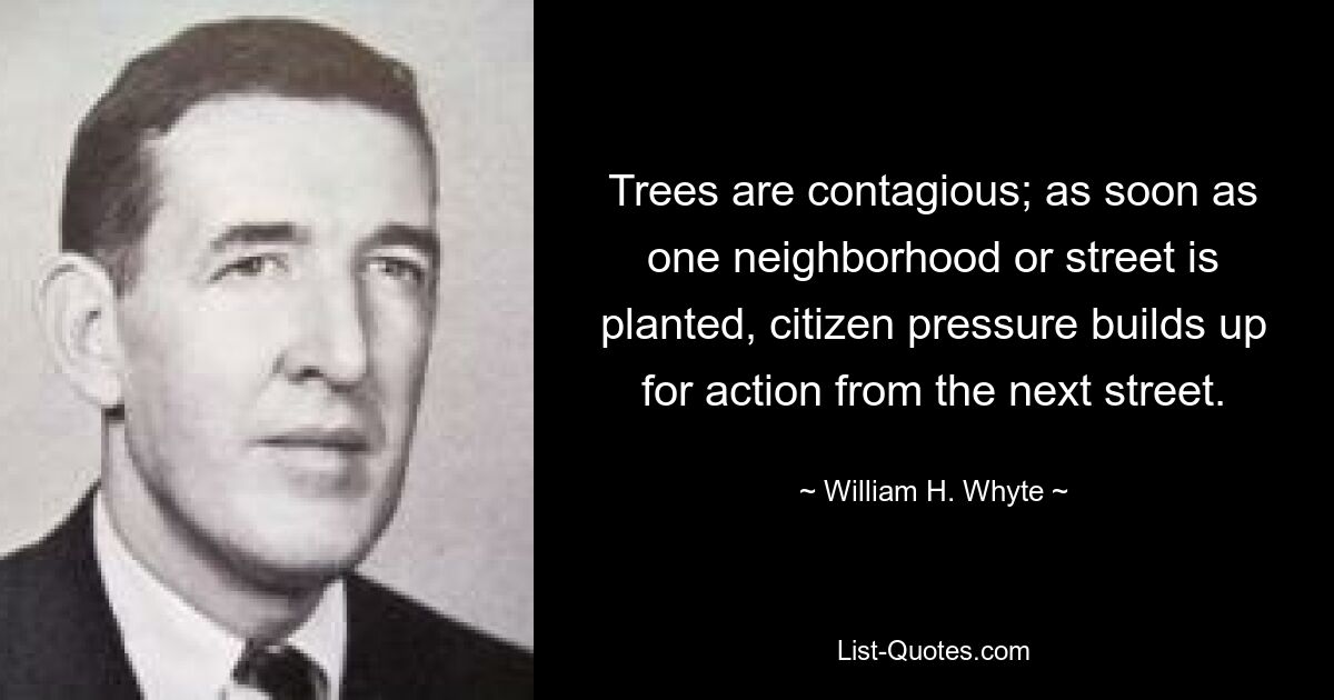 Деревья заразны; как только один район или улица засажены растениями, на соседней улице нарастает давление со стороны граждан, требующих действий. — © Уильям Х. Уайт 