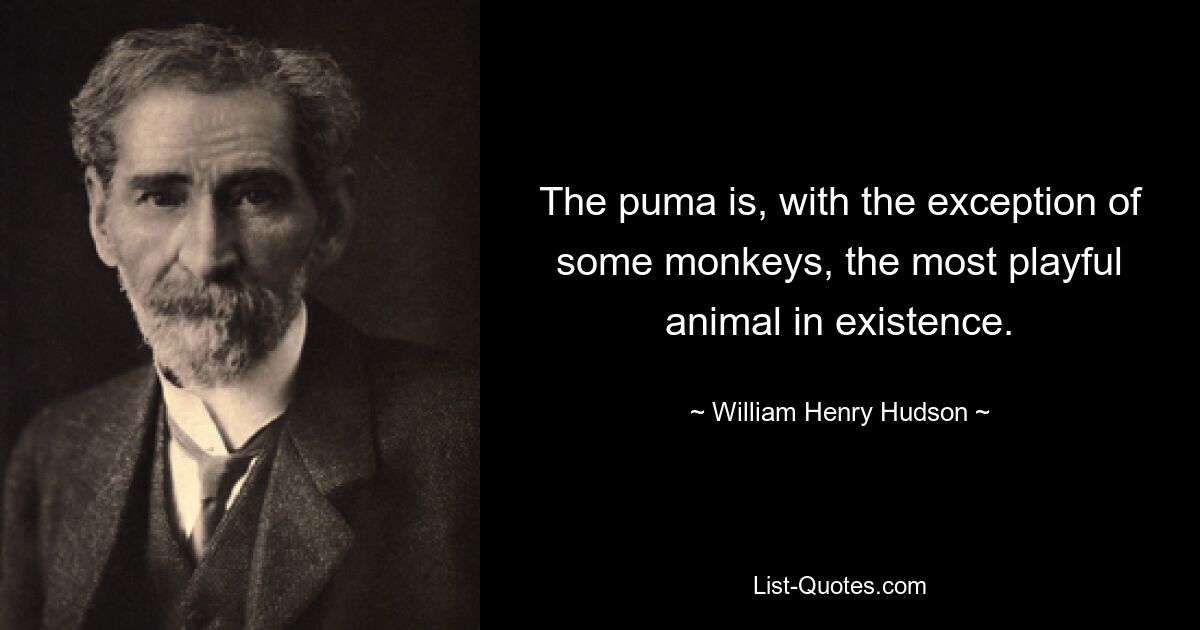 The puma is, with the exception of some monkeys, the most playful animal in existence. — © William Henry Hudson