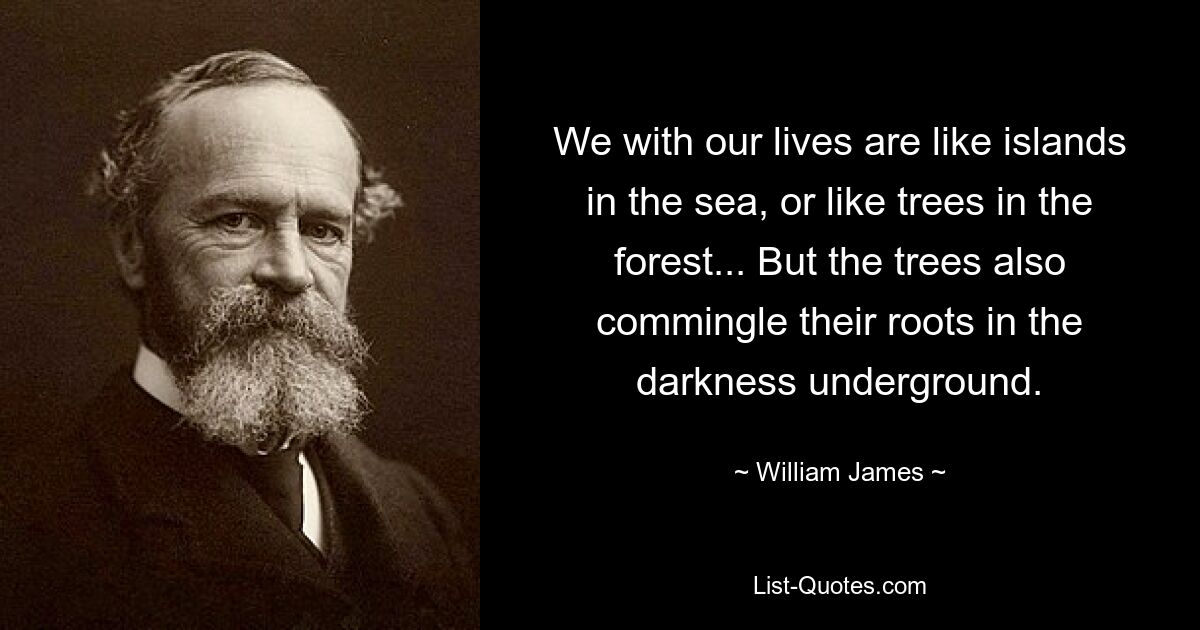 We with our lives are like islands in the sea, or like trees in the forest... But the trees also commingle their roots in the darkness underground. — © William James