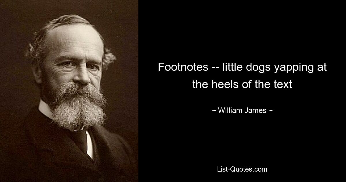 Footnotes -- little dogs yapping at the heels of the text — © William James