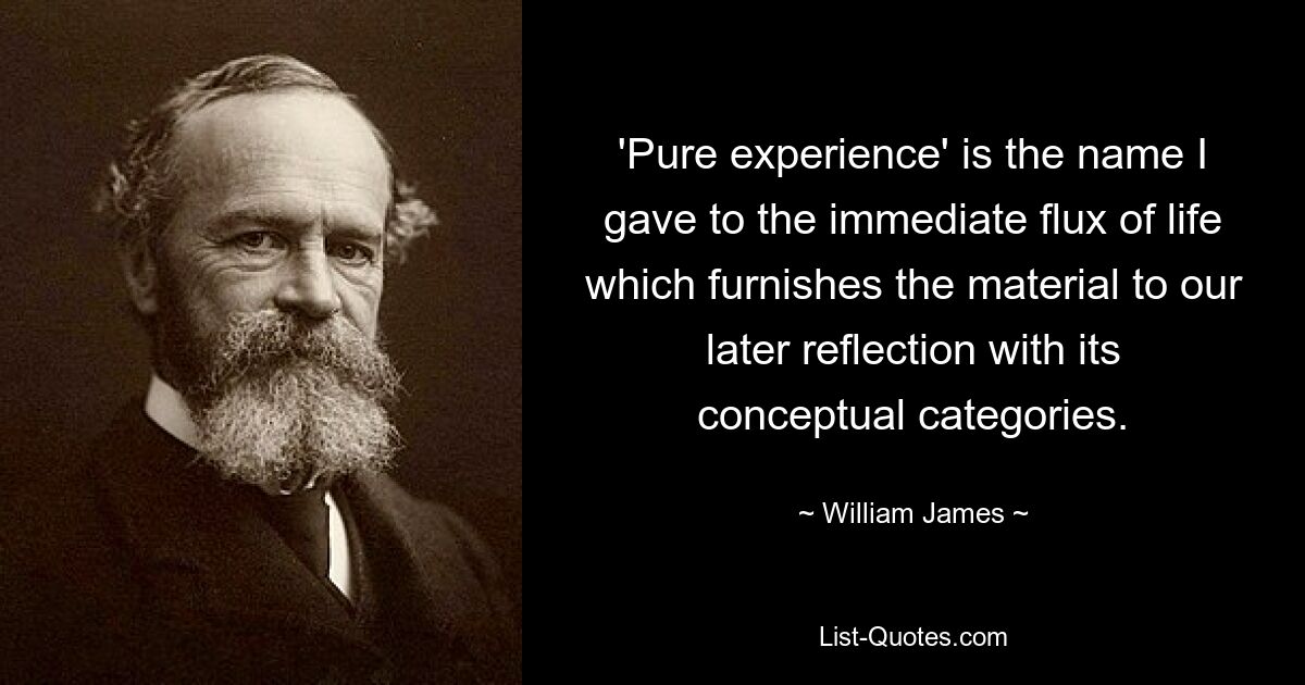 «Чистый опыт» — это название, которое я дал непосредственному течению жизни, доставляющему материал для наших позднейших размышлений с его концептуальными категориями. — © Уильям Джеймс 