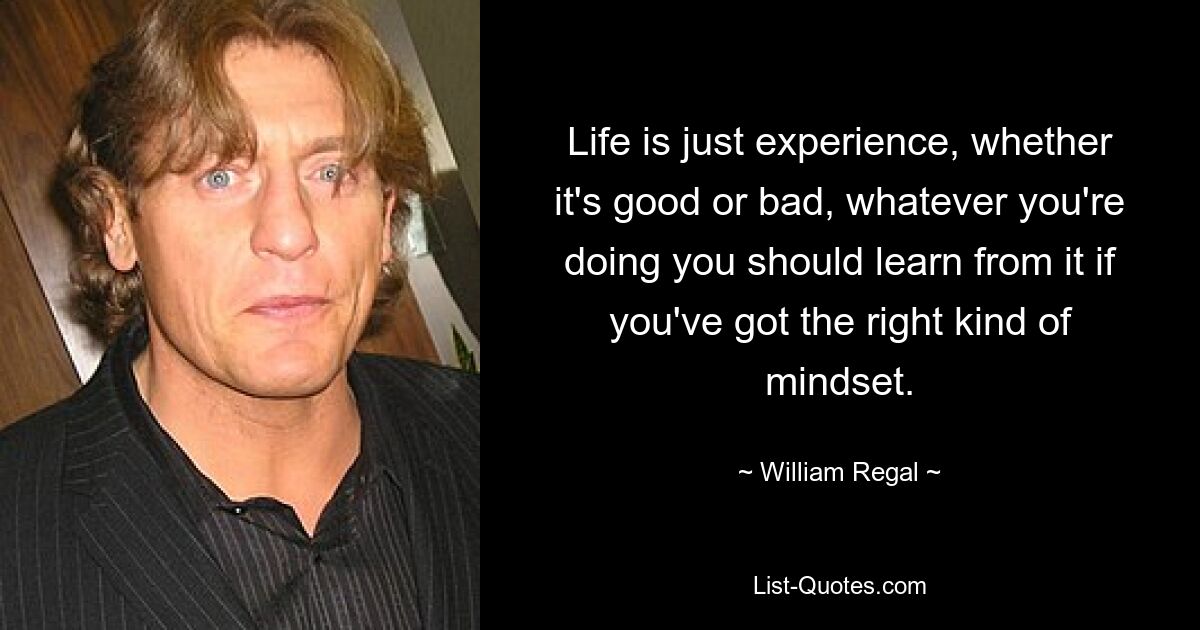 Life is just experience, whether it's good or bad, whatever you're doing you should learn from it if you've got the right kind of mindset. — © William Regal