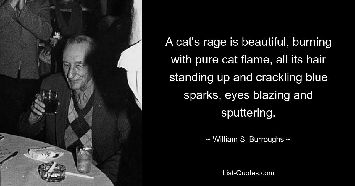 A cat's rage is beautiful, burning with pure cat flame, all its hair standing up and crackling blue sparks, eyes blazing and sputtering. — © William S. Burroughs