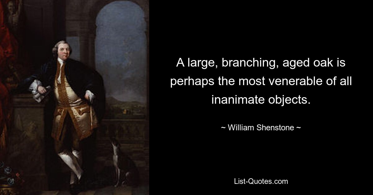 A large, branching, aged oak is perhaps the most venerable of all inanimate objects. — © William Shenstone