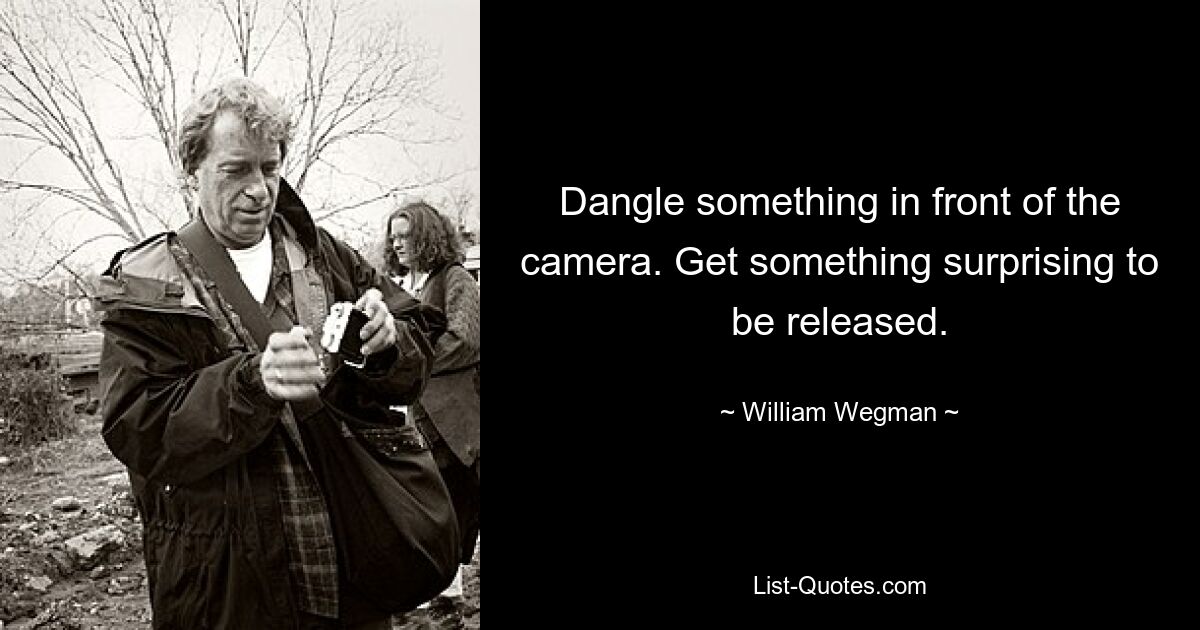 Dangle something in front of the camera. Get something surprising to be released. — © William Wegman