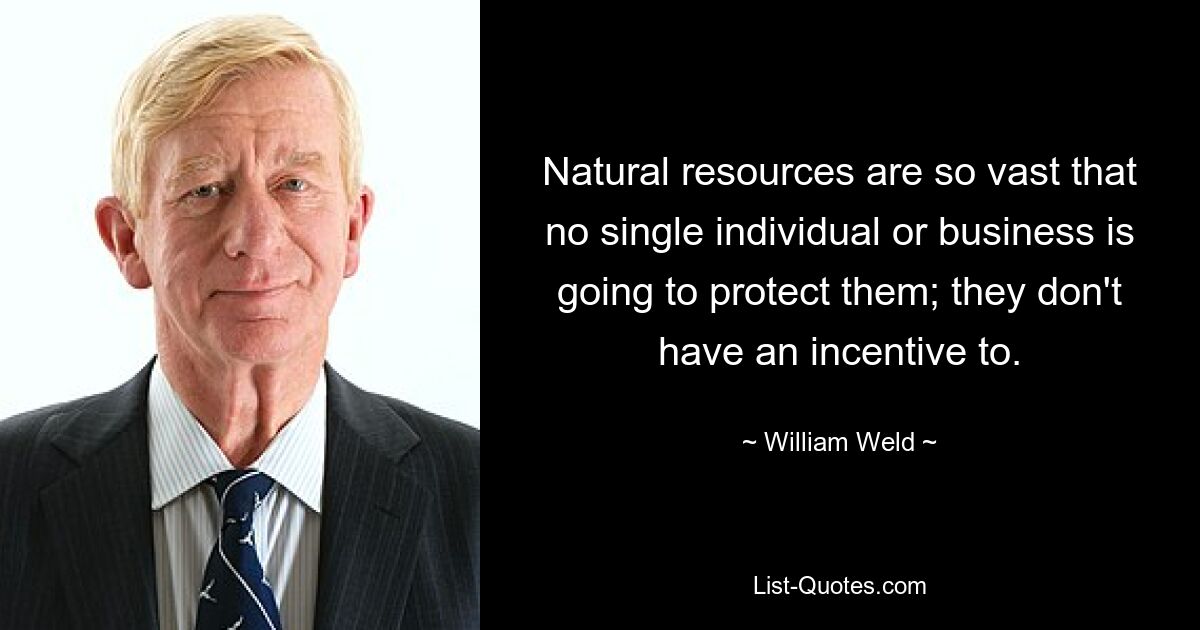 Natural resources are so vast that no single individual or business is going to protect them; they don't have an incentive to. — © William Weld