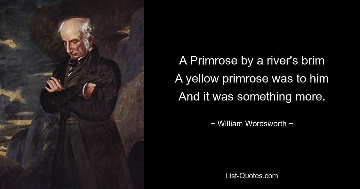 A Primrose by a river's brim
A yellow primrose was to him
And it was something more. — © William Wordsworth