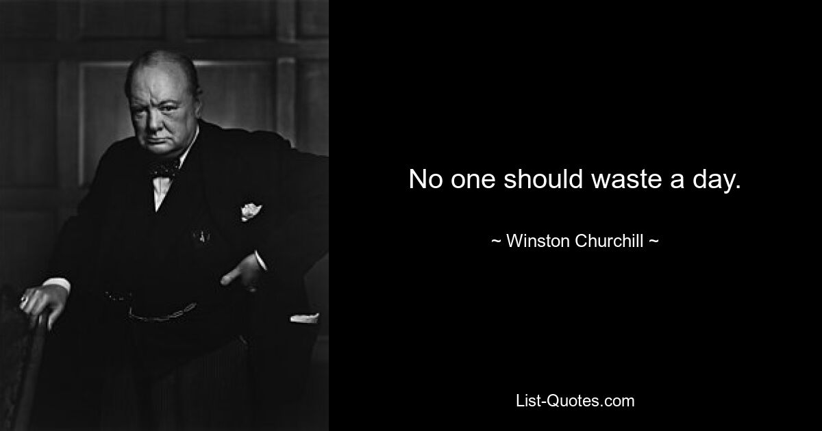 No one should waste a day. — © Winston Churchill