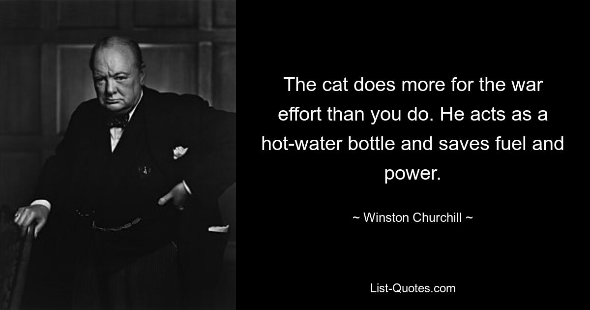 The cat does more for the war effort than you do. He acts as a hot-water bottle and saves fuel and power. — © Winston Churchill