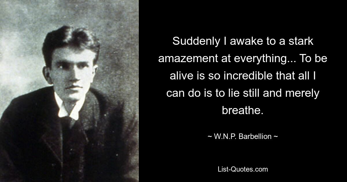 Suddenly I awake to a stark amazement at everything... To be alive is so incredible that all I can do is to lie still and merely breathe. — © W.N.P. Barbellion