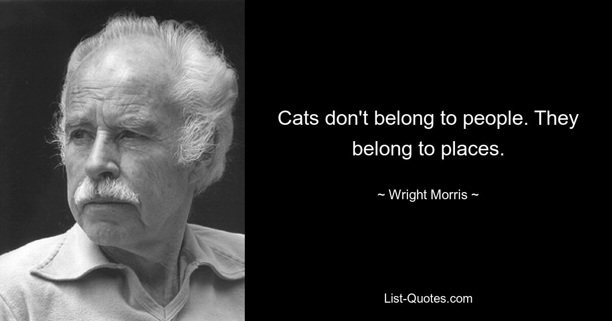 Cats don't belong to people. They belong to places. — © Wright Morris