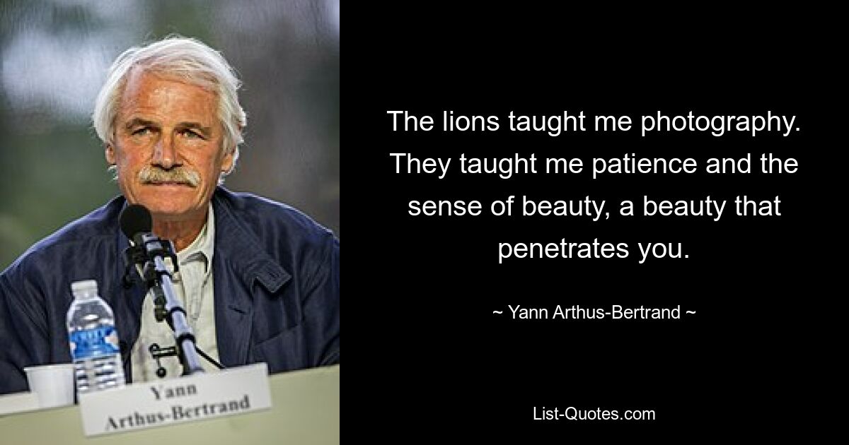 The lions taught me photography. They taught me patience and the sense of beauty, a beauty that penetrates you. — © Yann Arthus-Bertrand