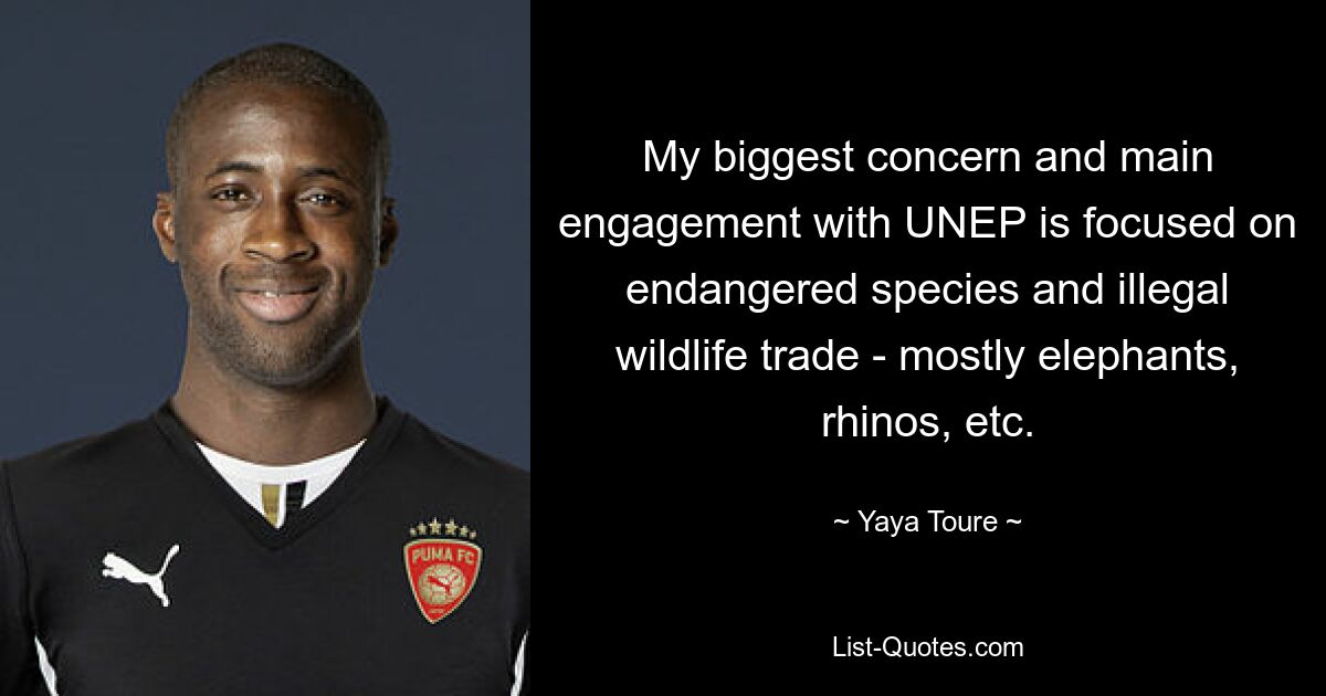 My biggest concern and main engagement with UNEP is focused on endangered species and illegal wildlife trade - mostly elephants, rhinos, etc. — © Yaya Toure