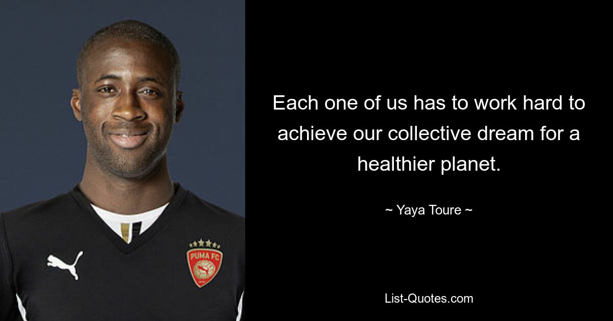 Each one of us has to work hard to achieve our collective dream for a healthier planet. — © Yaya Toure