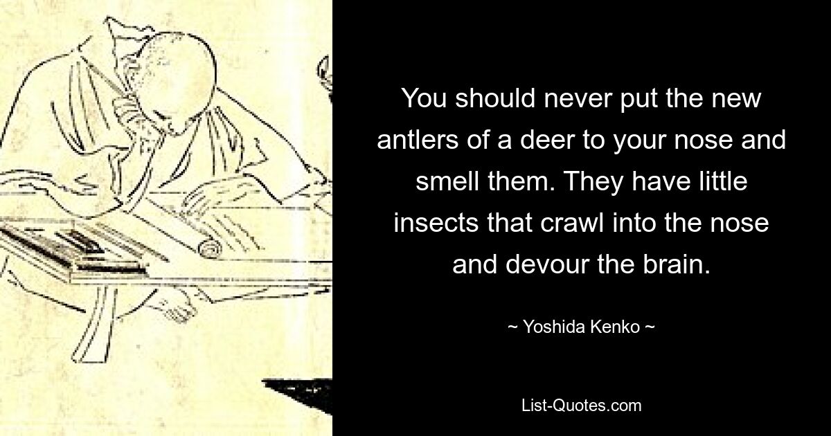 You should never put the new antlers of a deer to your nose and smell them. They have little insects that crawl into the nose and devour the brain. — © Yoshida Kenko