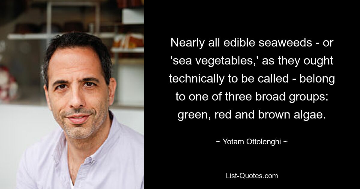 Nearly all edible seaweeds - or 'sea vegetables,' as they ought technically to be called - belong to one of three broad groups: green, red and brown algae. — © Yotam Ottolenghi