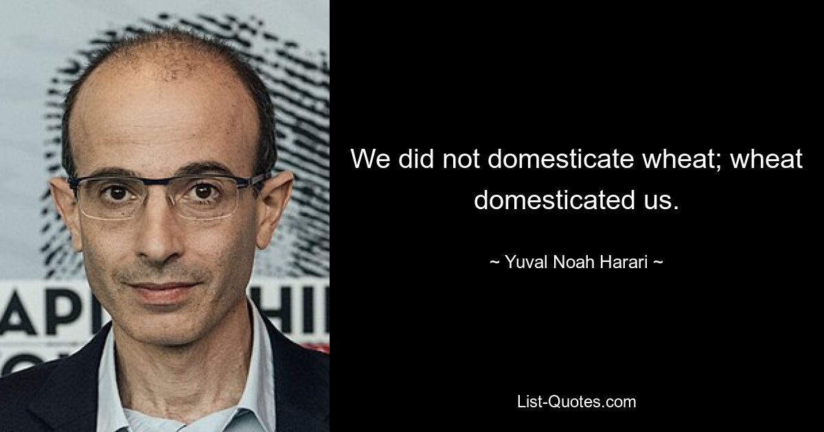 We did not domesticate wheat; wheat domesticated us. — © Yuval Noah Harari