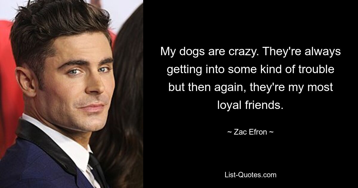 My dogs are crazy. They're always getting into some kind of trouble but then again, they're my most loyal friends. — © Zac Efron