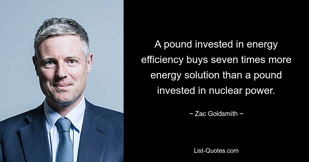 A pound invested in energy efficiency buys seven times more energy solution than a pound invested in nuclear power. — © Zac Goldsmith