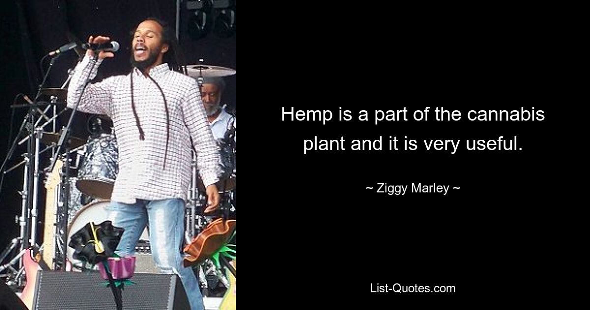 Hemp is a part of the cannabis plant and it is very useful. — © Ziggy Marley