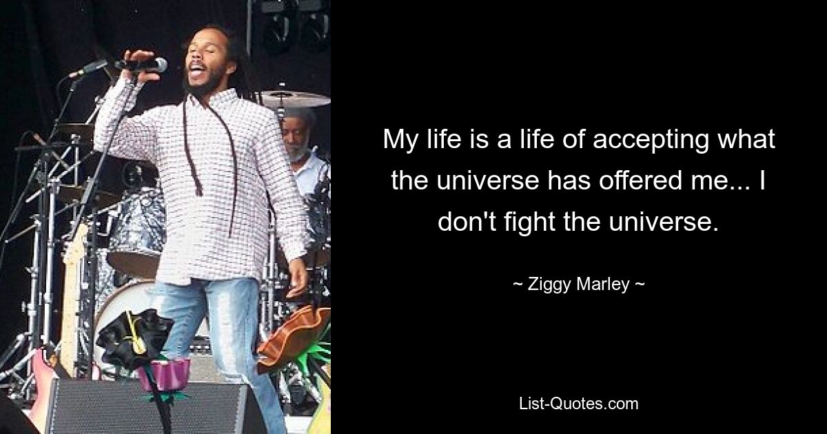 My life is a life of accepting what the universe has offered me... I don't fight the universe. — © Ziggy Marley