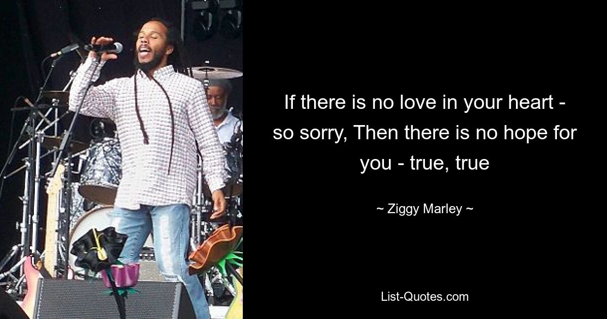 If there is no love in your heart - so sorry, Then there is no hope for you - true, true — © Ziggy Marley