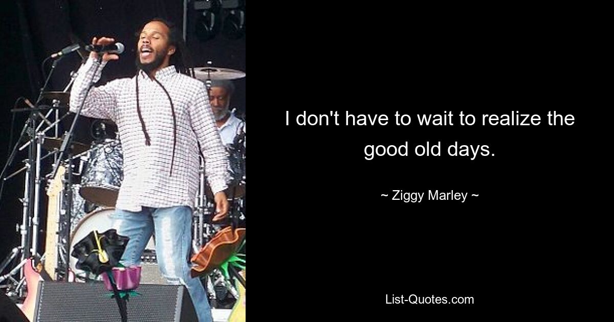 I don't have to wait to realize the good old days. — © Ziggy Marley